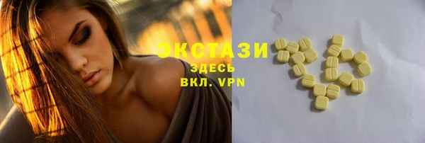 ECSTASY Покров