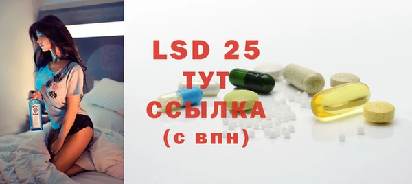 спиды Богородицк
