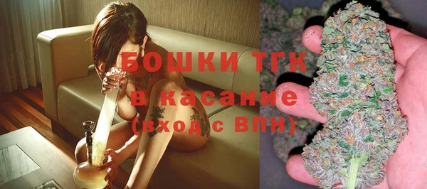 ECSTASY Богородск
