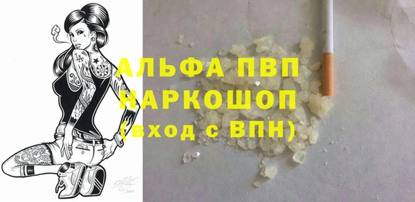 спиды Богородицк