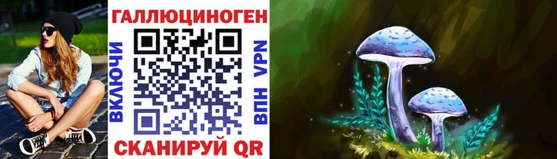 Купить  Североморск  Галлюциногенные грибы мицелий 